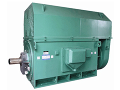 5000KWY系列6KV高压电机